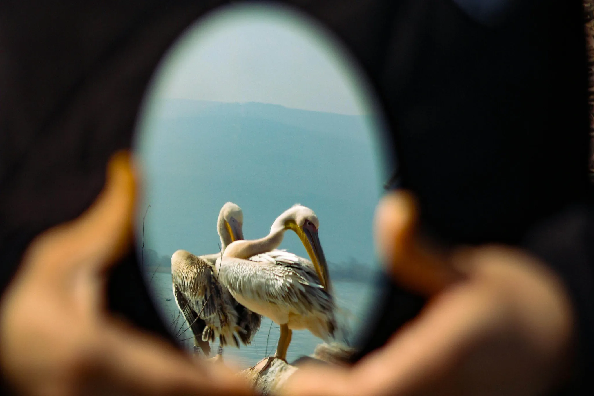 FsGcBA3D-4LpD7Hw8kOeZsi2rFBc