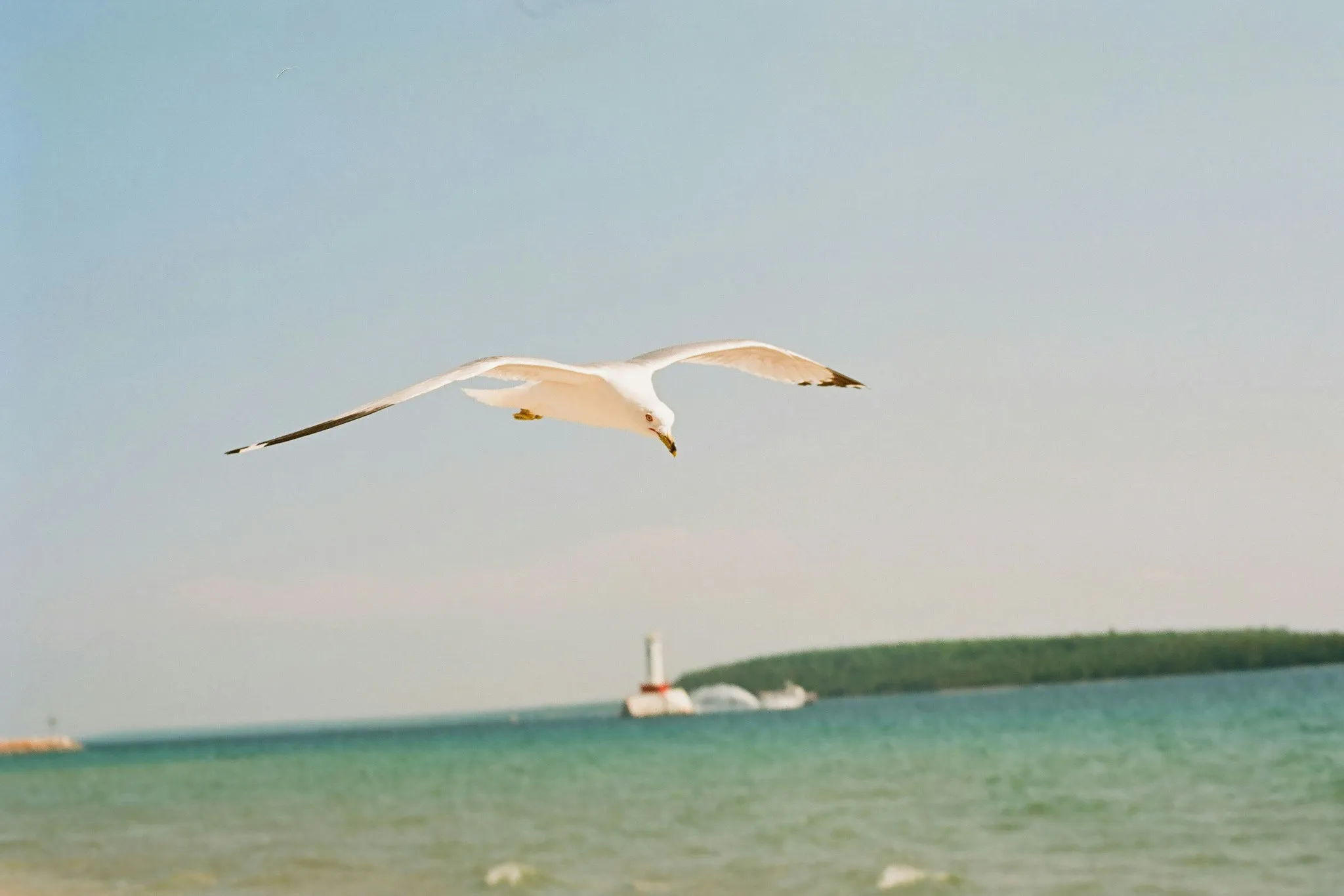 FpYzKeQP2Z3N0Hk6ay9XDZN1PktR