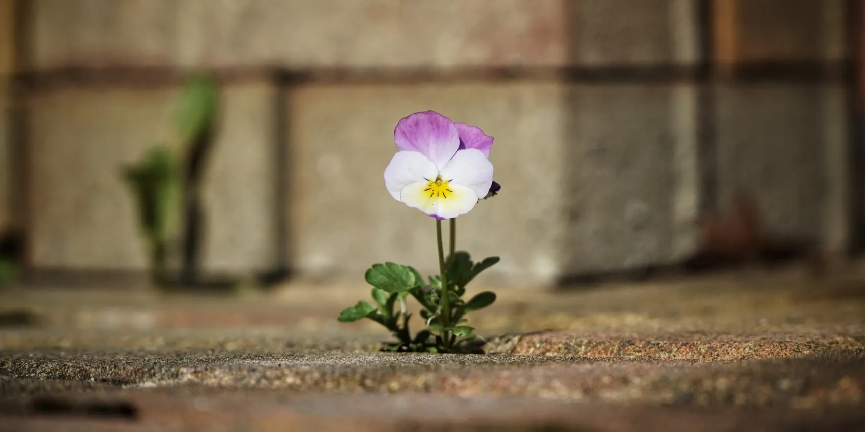 583635ef1d188d2c4f32d65c992ec4e0