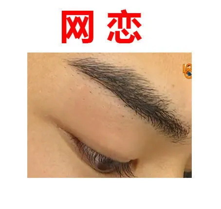 424a3c29ed124e8e8f281ccdce2fa9c2