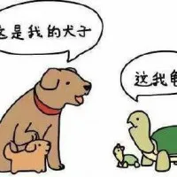 f0b862eacdcd33cf5ed5b63f9ed56560