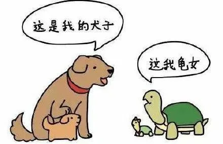 f0b862eacdcd33cf5ed5b63f9ed56560