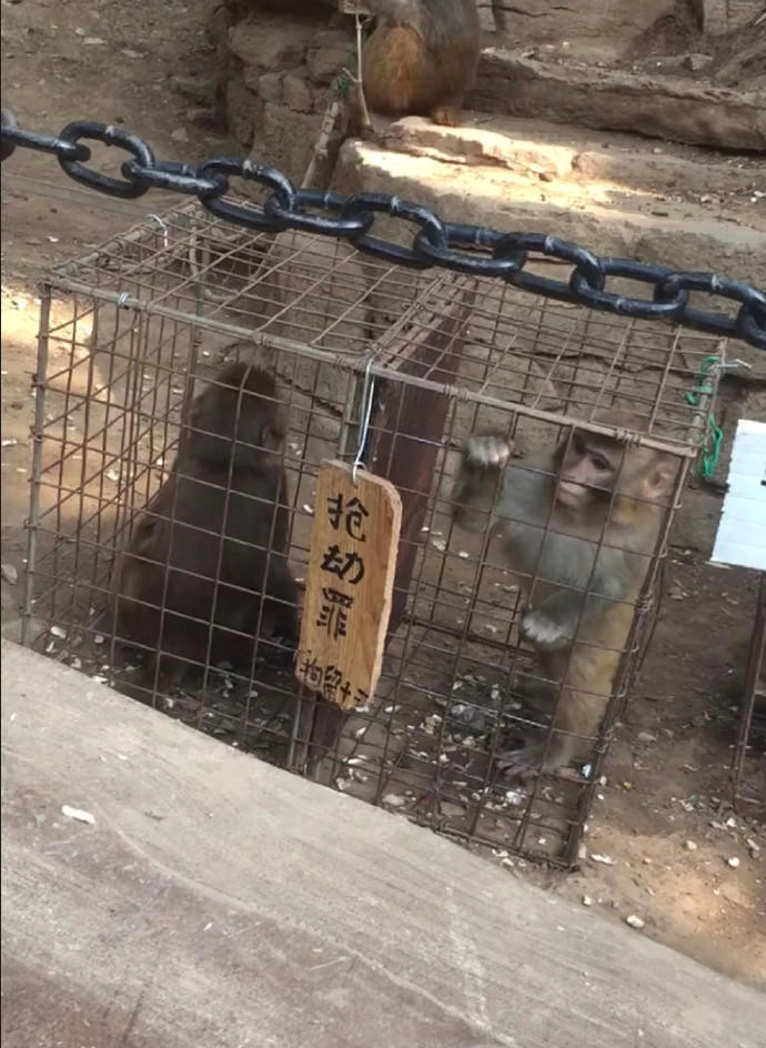 88f663be76fefe26ae2fecc180e526b6