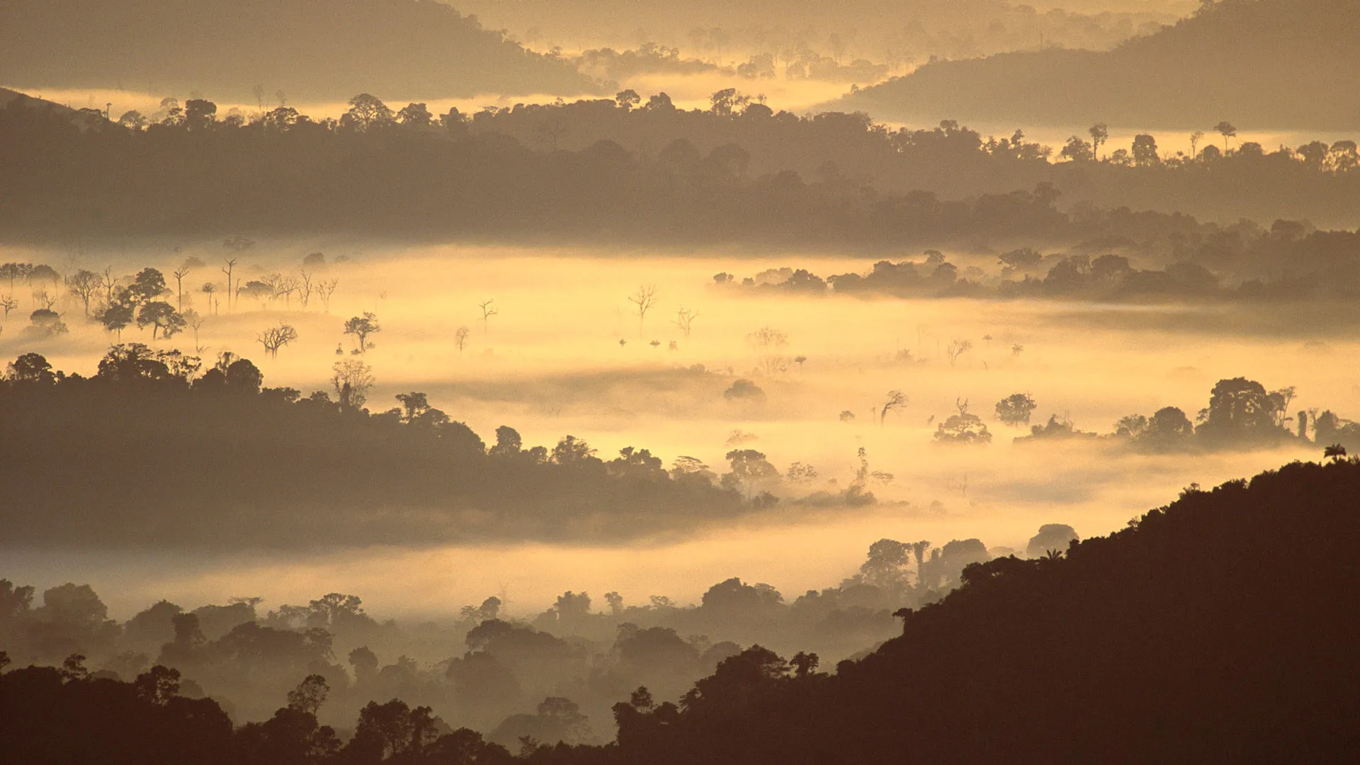 f72b71435ac2aaacf21e9be6f9932d57