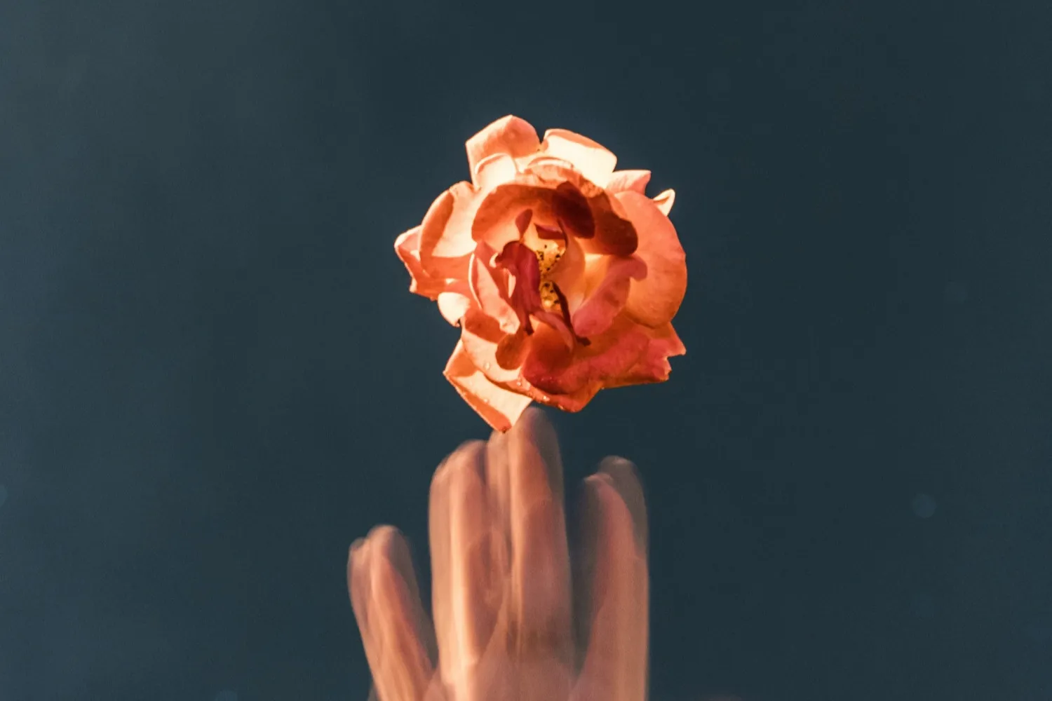 FmC6q-vvNbqvd51-VRgQj1iVUHAd