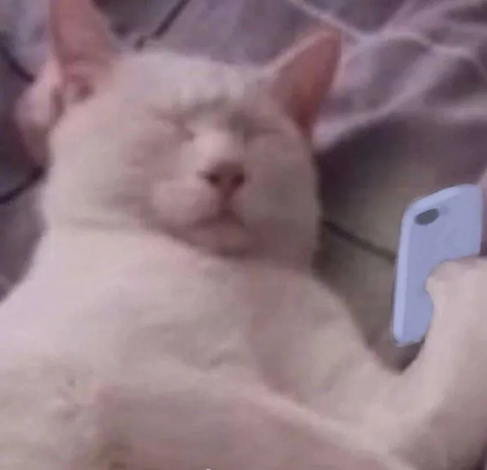 54f3bc03e866c6e93d8858074837a4da